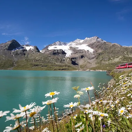 Residenza 39 - 900 M To Bernina Express Lejlighed